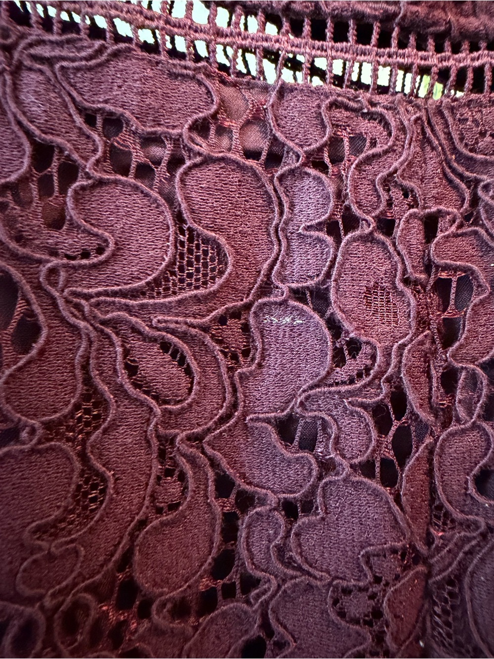 Bardot Plum Lace Midi Dress - Picture 5 of 5